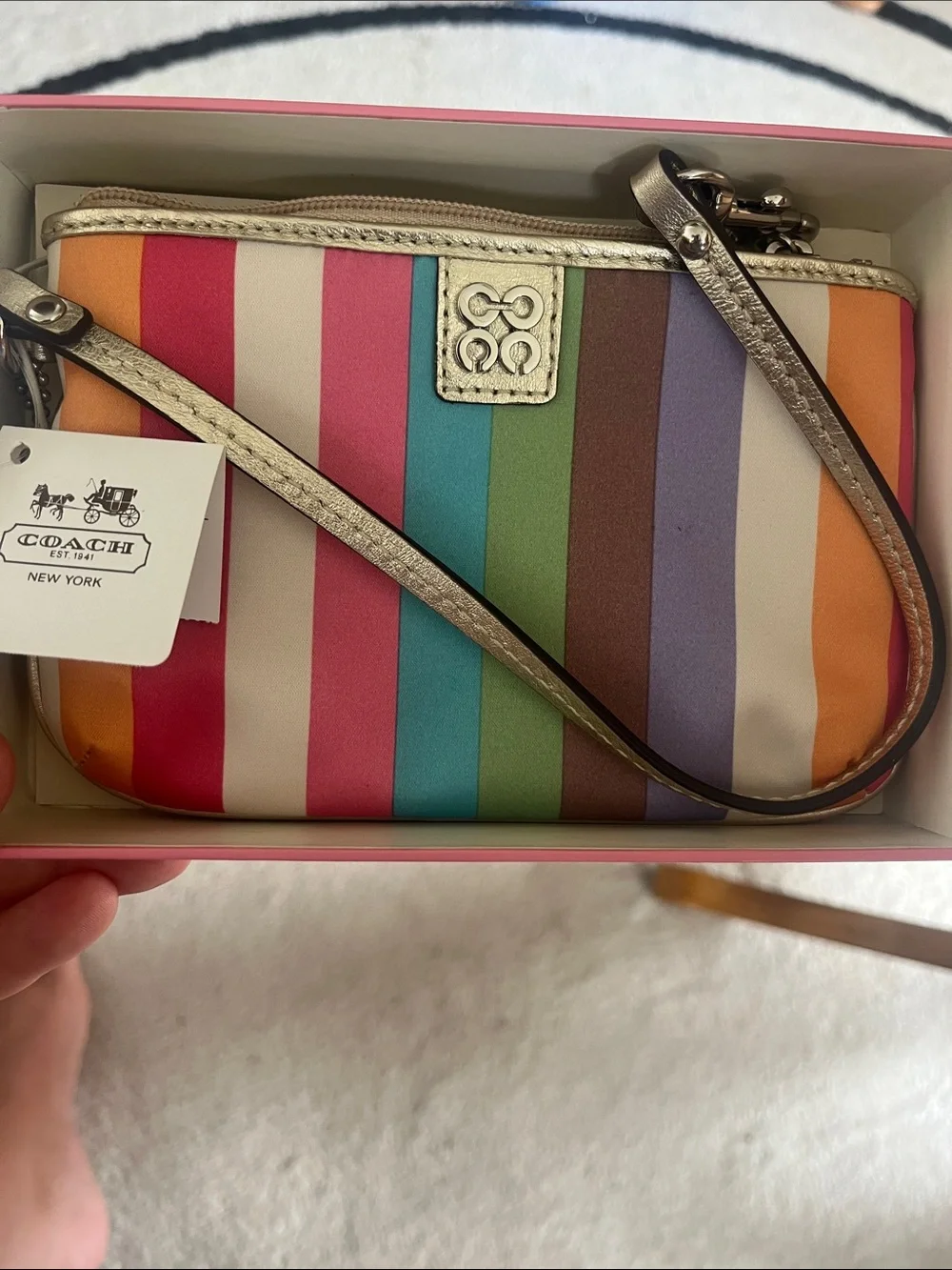 Coach Julia  Rainbow Stripe Wristlet - Multicolor